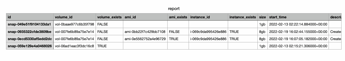 AWS EBS snapshot report