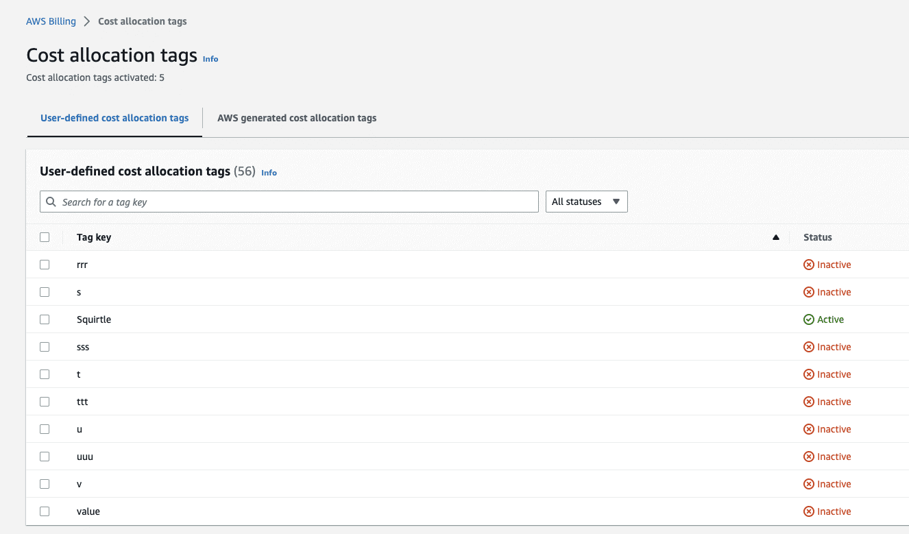 AWS Billing console - User-defined cost allocation tags